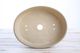 Straight-sided oval bonsai pot in muted beige with three drainage holes, shown from top down on a light wooden surface with horizontal planks.