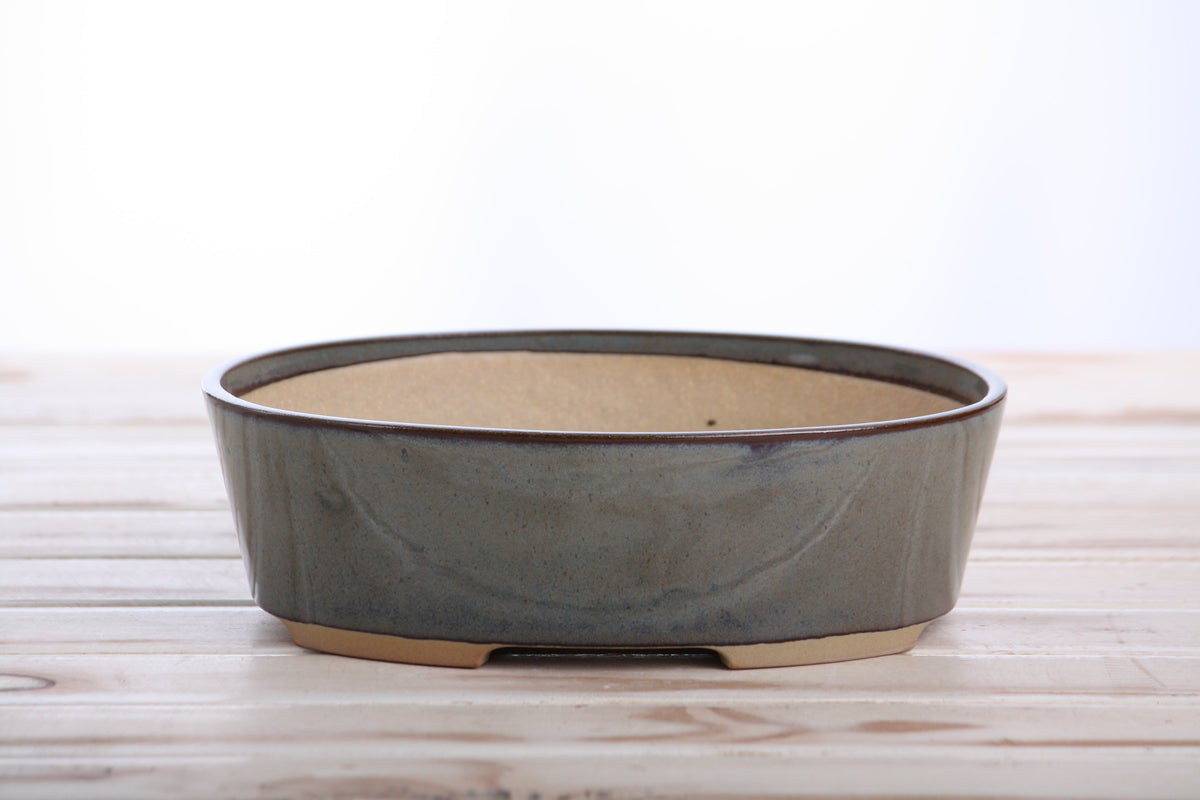 Oval ceramic bonsai pot with a muted blue-green glaze and unglazed natural beige interior, resting on a light wooden surface.