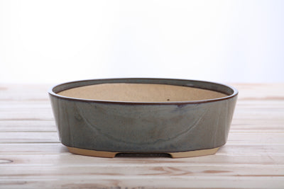 Willow Bonsai Ceramics Oval A Bonsai Pot 8 Inch – Starry Night