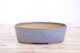 Oval bonsai pot with a denim blue glaze exterior and a natural terracotta interior, set on a wooden surface against a white background.