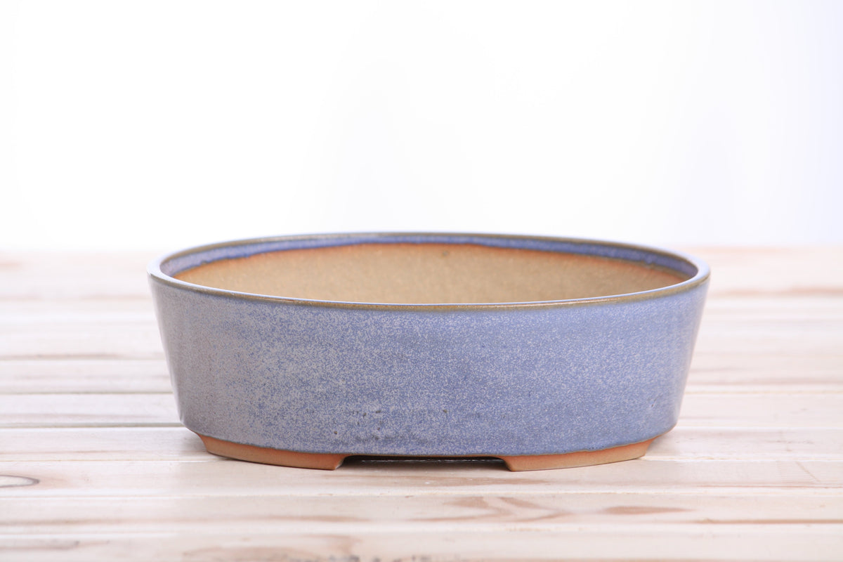 Oval bonsai pot with a denim blue glaze exterior and a natural terracotta interior, set on a wooden surface against a white background.