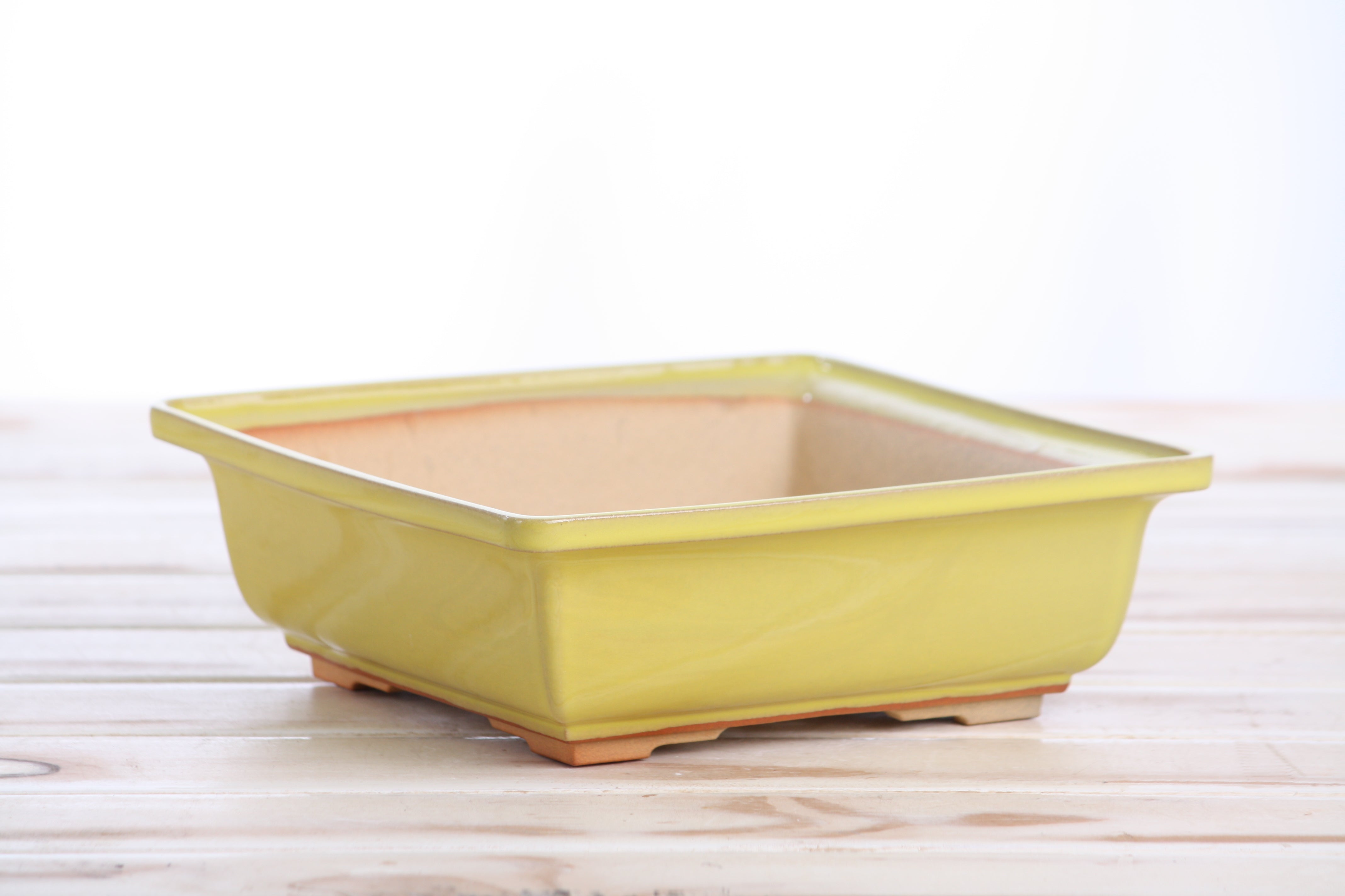 Willow Bonsai Ceramics Square Bonsai Pot 7 Inch – Yellow