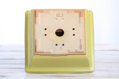 Willow Bonsai Ceramics Square Bonsai Pot 7 Inch – Yellow