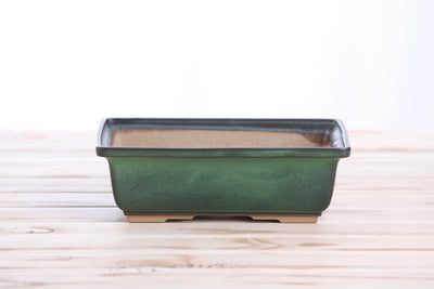 Willow Bonsai Ceramics Rectangle Bonsai Pot 8 Inch (Avocado)