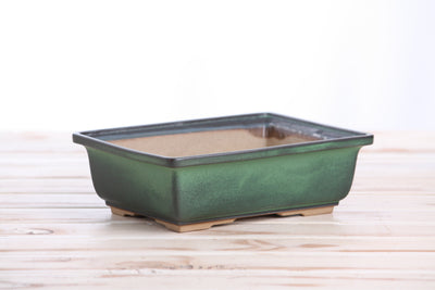 Willow Bonsai Ceramics Rectangle Bonsai Pot 8 Inch (Avocado)
