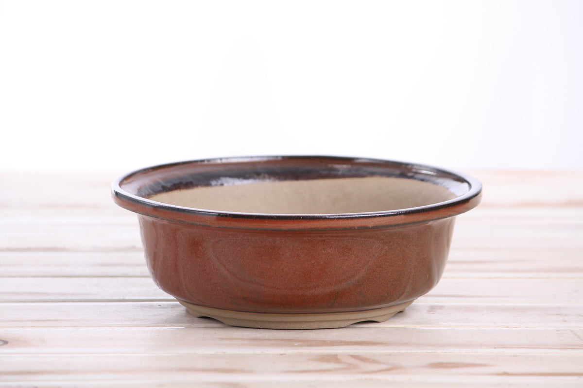 Round bonsai pot with smooth reddish-brown glaze and dark brown rim, shallow depth, sitting on a light wood surface with a white background.