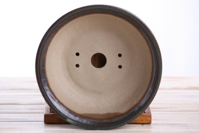 Willow Bonsai Ceramics Round Bonsai Pot 7 Inch in Avocado