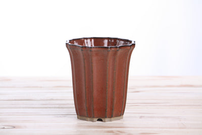 Willow Bonsai Ceramics Flower Design Cascade Bonsai Pot 4.5 Inch - Sunset