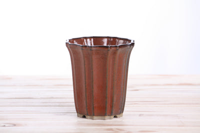Willow Bonsai Ceramics Flower Design Cascade Bonsai Pot 4.5 Inch - Sunset