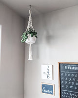 White macrame hanging planter holding a green leafy plant, suspended from a ceiling hook against a light gray wall with educational wall art below.