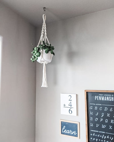 Macrame Hanging Planter