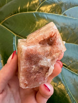 Small red apophyllite cube crystal held between fingers with red nail polish, against a backdrop of large green leaves.