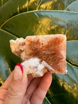 A hand holding a small red apophyllite crystal cube with translucent white and reddish hues, shown against a large textured green leaf background.