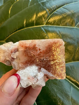 Small Red Apophyllite cube crystal with translucent white and rusty red patches, held between fingers against a glossy green leaf background.