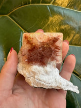 Hand holding a small red apophyllite crystal cube with rusty red internal patterns resting on white rough matrix against a green leaf background.