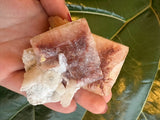 Hand holding a translucent cubed red apophyllite crystal with white and reddish-brown hues against a dark green leaf background.