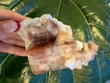 Hand holding a large red apophyllite crystal cluster with layered cube formations on a rough white matrix, set against dark green glossy leaves.