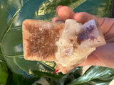 Hand holding a large rough red apophyllite crystal with translucent white and reddish areas, against green glossy leaves background.