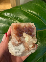 Hand holding a large red apophyllite cube with translucent beige crystals, against a background of a large green leaf with prominent veins.