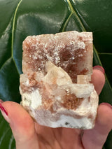 Light pink and rusty red cubic Apophyllite crystal cluster held against a dark green leaf background, showcasing distinct geometric formations and a rough base.