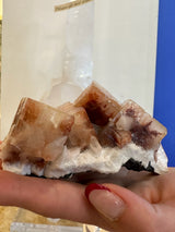 Cluster of red-tinted apophyllite cubes with dark inclusions on a white stilbite matrix held by a hand with manicured nails against a blurred light background.
