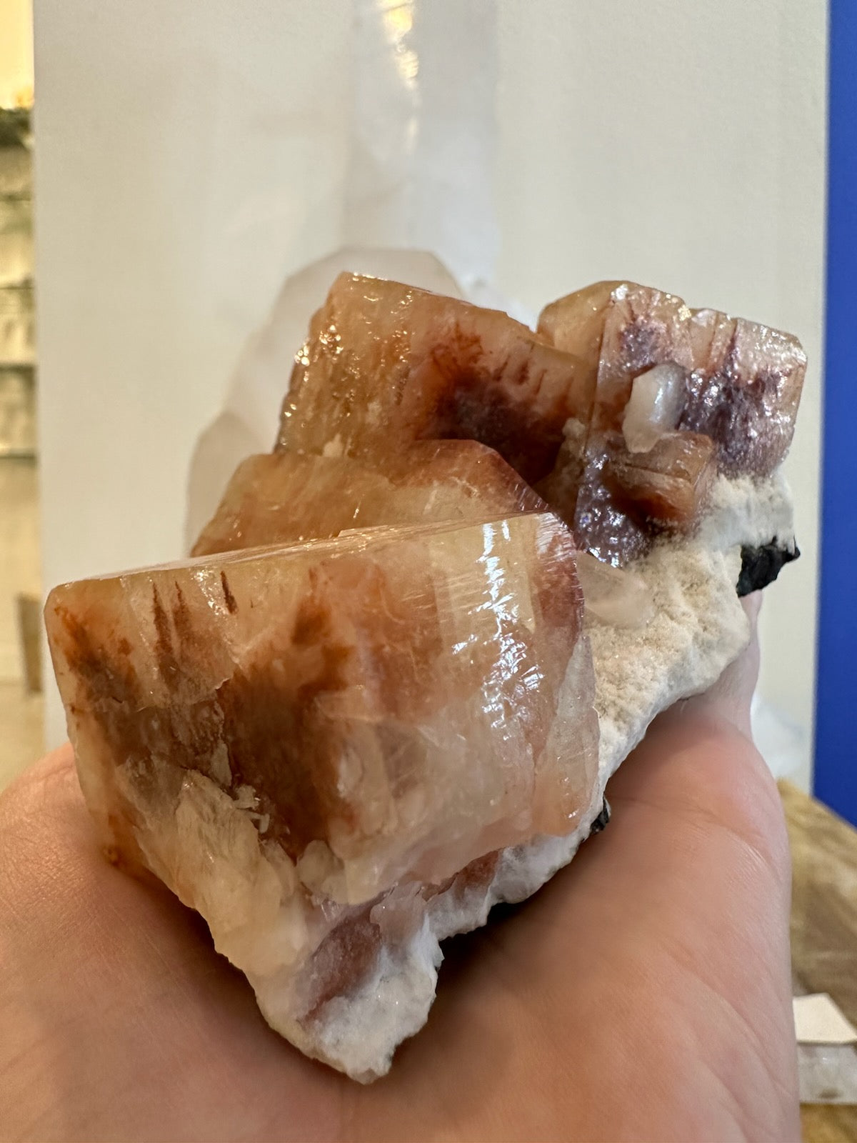 Cluster of translucent reddish-brown Apophyllite cubes with white Stilbite crystals on a rough beige matrix, held in a hand for scale.