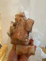Hand holding a translucent red-orange apophyllite cube cluster with cream-colored stilbite crystals on a beige matrix under soft lighting.