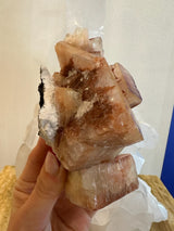 Cluster of translucent reddish-brown apophyllite cubes with creamy white stilbite crystals on a dark matrix, held in hand against a neutral background.