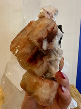 Hand holding a cluster of large translucent orange-brown apophyllite cubes with white stilbite and a rough matrix, showing crystal faces and natural texture.
