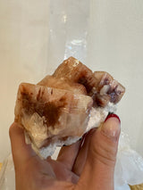 Cluster of reddish-brown Apophyllite cubic crystals with white Stilbite on a rocky matrix held by a hand against a light background.