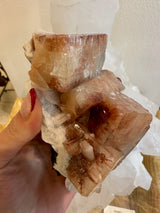 Hand holding a red apophyllite cube cluster with stilbite crystals on a white matrix, showing translucent reddish-brown crystals with striations and a textured surface.