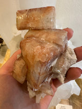 Cluster of translucent reddish-orange apophyllite crystals with smooth, shiny surfaces held against a white mineral matrix, displayed in a hand.