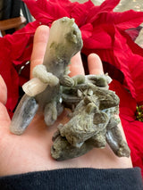 Hand holding a greenish-gray stilbite crystal cluster with elongated, prismatic formations against a background of bright red poinsettia leaves.