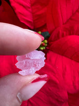 Close-up of pale pink rough rose quartz crystal held between thumb and forefinger with red petaled flower background