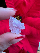 A micro rose quartz specimen held between thumb and forefinger with red polished nails, set against a bright red poinsettia flower background.