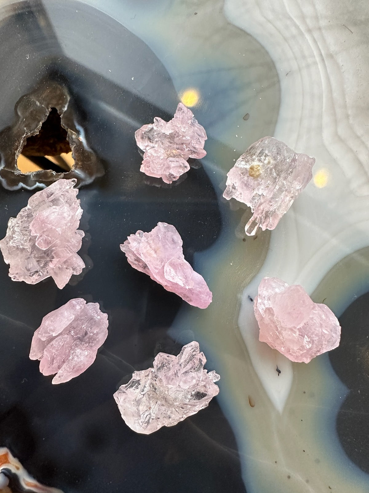 Seven small, translucent pink rose quartz crystals with jagged shapes arranged on a polished, multicolored agate surface featuring black, white, and blue-gray bands and a triangle-shaped hollow area.