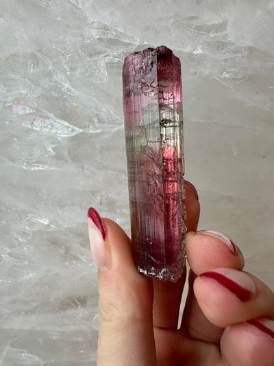 Watermelon Tourmaline from Brazil by Rare Earth Gallery - main product image for Resin Society