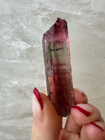 Watermelon Tourmaline from Brazil by Rare Earth Gallery - product image 4 for Resin Society