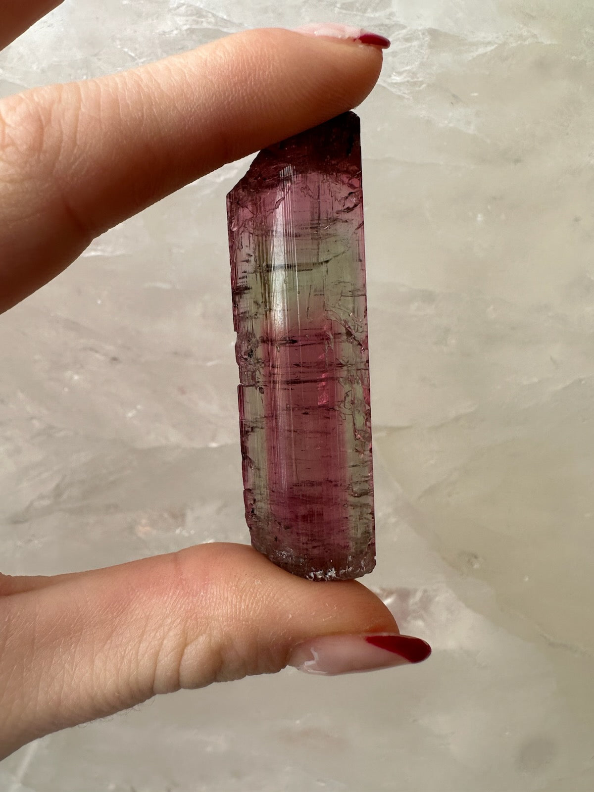 Watermelon Tourmaline from Brazil by Rare Earth Gallery - product image 2 for Resin Society