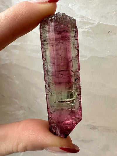 Watermelon Tourmaline from Brazil by Rare Earth Gallery - product image 9 for Resin Society