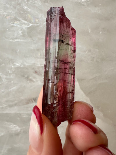 Watermelon Tourmaline from Brazil by Rare Earth Gallery - product image 3 for Resin Society