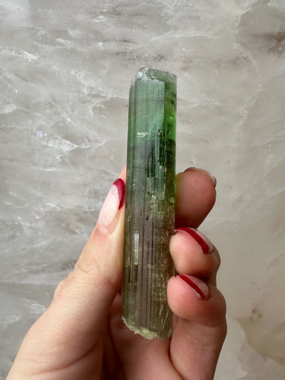 Watermelon Tourmaline Paprok, Nuristan, Afghanistan by Rare Earth Gallery - product image 5 for Resin Society