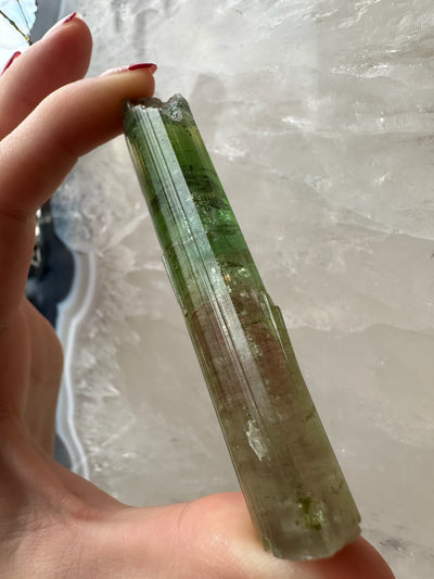Watermelon Tourmaline Paprok, Nuristan, Afghanistan by Rare Earth Gallery - product image 8 for Resin Society