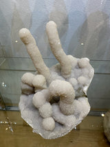Medium Chalcedony Stalactite cluster showing organic mineral formation