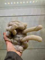 Hand holding a medium-sized chalcedony stalactite with bulbous and elongated formations coated in milky white crystalline texture against a glass display background.