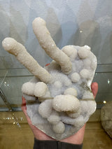 Hand holding a pale gray chalcedony stalactite cluster with elongated cylindrical formations and rounded crystal-covered nodules.