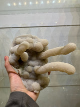 Hand holding a medium-sized chalcedony stalactite with rounded and elongated bulbous formations covered in white crystalline texture against a neutral background.