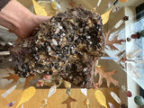 Hand holding a large, irregular hessonite garnet cluster with dark reddish-brown crystals against a background of suspended leaves and clear quartz points on glass.