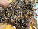 Dark reddish-brown hessonite garnet cluster with glossy, faceted crystals embedded in rough matrix held in a hand over a table with leaves and quartz crystals.