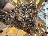 Hand holding a large hessonite garnet cluster with dark amber, brown, and translucent crystals on rough beige-brown matrix, surrounded by quartz points and autumn leaves on a glass surface.